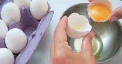 Nutritivos huevos